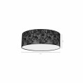 mlp7329$g.jpg