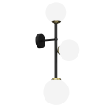 mlp7844$a.png