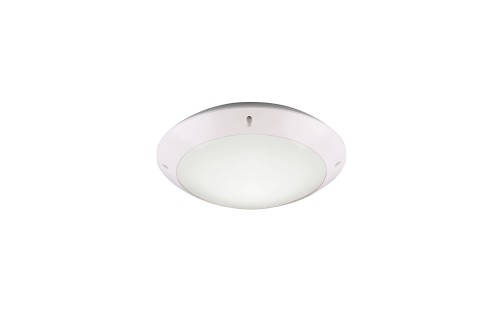 R60501031.jpg