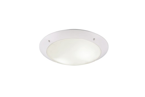 R60502031.jpg
