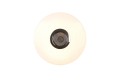 R69031101_8.jpg