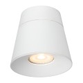 09935-01-31%20det1.jpg