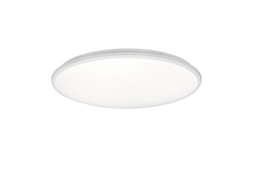 r67021931.jpg