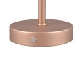 r59151165_1.jpg