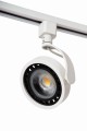 09954-01-31%20off.jpg