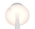 R54991131_2.jpg