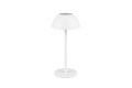 R54106131_5.jpg