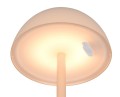 R54106166_1.jpg