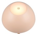 R54106166_2.jpg