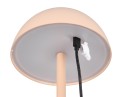 R54106166_4.jpg