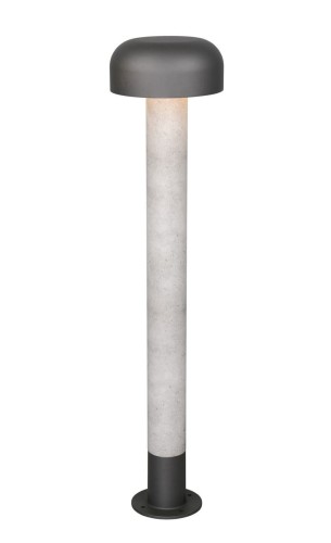 462560178.jpg