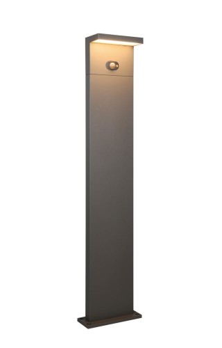 453569142.jpg