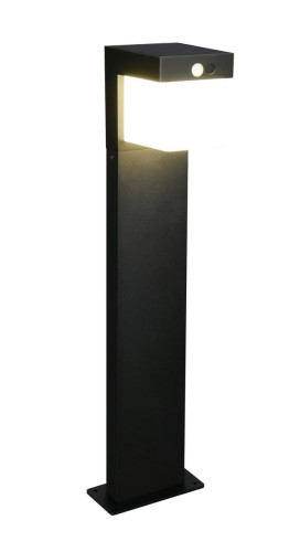 r53286132.jpg