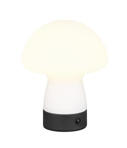 LAMPA STOŁOWA DOOLEY R54981131