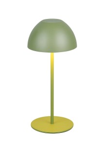 LAMPA STOŁOWA ORTIZ R55601115
