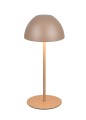 r55601165.jpg