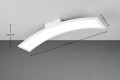 R64861131_d.jpg