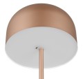 R49151165_3.jpg