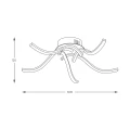 aea4ff4aa4b71ccc509f68e1e1af8100.webp