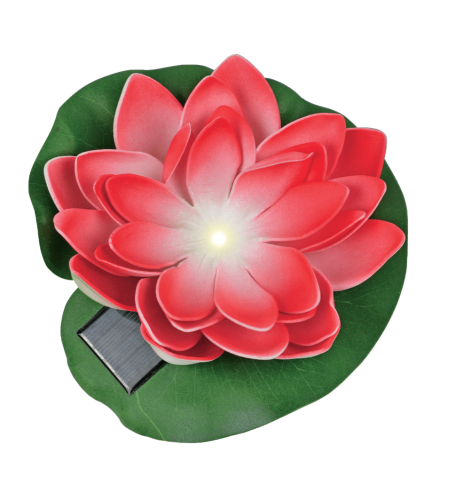 SW-5033%20RED-1.png