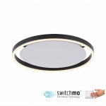 Lampa sufitowa RITUS 15391-13 – antracytowa LED