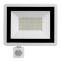 242_1.jpg