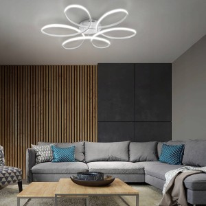 LAMPA DEKORACYJNA OKRĘGI 100W + PILOT BIAŁA DL-J05 FIORE