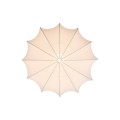 Aeron%202412206001_2.jpg