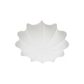 Aeron%202412226001_4.jpg