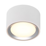 Oprawa typu downlight FALLON biały/satyna