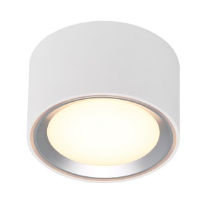 Oprawa typu downlight FALLON biały/satyna