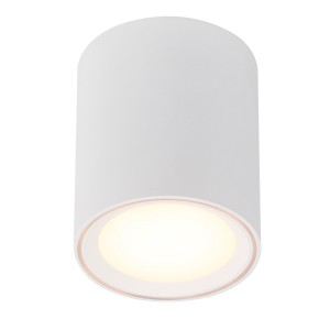 Oprawa typu downlight FALLON LONG