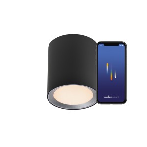 Lampa sufitowa LANDON LONG SMART 2700-6500K SORT