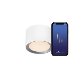 Lampa sufitowa LANDON SMART 2700-6500K HVID