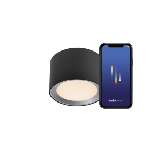 Lampa sufitowa LANDON SMART 2700-6500K SORT
