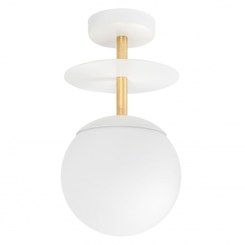 export.jpg