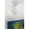 export.jpg