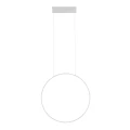 f35b8338ccfa73a3fd00c7a9365a4e20.webp