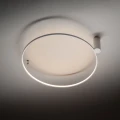 e7b83892882af9038a21106bf094c5bd.webp