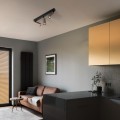 16148_TUNE_BROWN_B.jpg