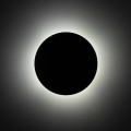 10958_LUNA_GREEN_B.jpg