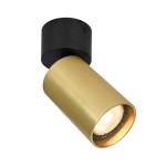 Nesto – Lampa sufitowa SPOT SPL-23436-1R-BK-BRSS