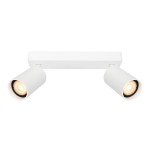 Nesto – Lampa sufitowa SPOT SPL-23436-2-WH