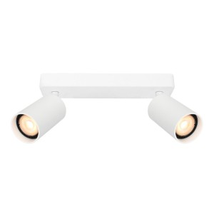 Nesto – Lampa sufitowa SPOT SPL-23436-2-WH