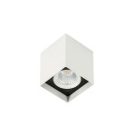 Alden White Black 4000K - Lampa natynkowa SLC78002/12W 4000K WH+BL