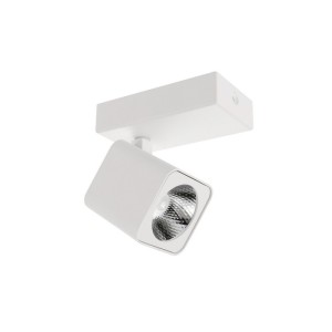 Lampa sufitowa Aveiro SPL-31981-1B-WH