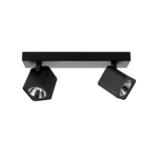 Lampa sufitowa Aveiro SPL-31981-2B-BK