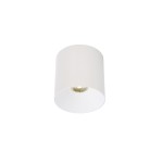 Lampa sufitowa plafon IOS 20W LED 4000K kąt 60° | biały 8743
