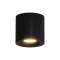luna_bk.webp