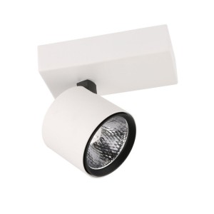 Boniva lampa sufitowa - kinkiet SPL-2854-1B-WH